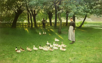 The Duck Girl