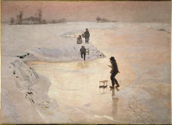 The Skaters
