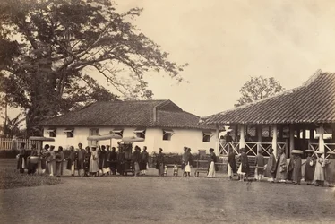 Cortège d
