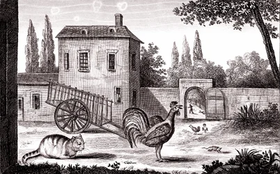 The Rooster, the Cat and the Mouse, Fable by La Fontaine