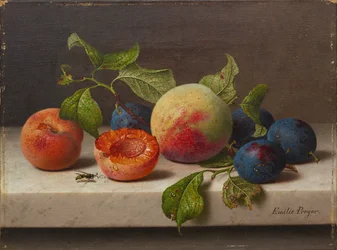 Fruit Still Life