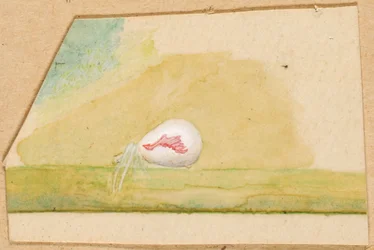 Porcelain-White Spider