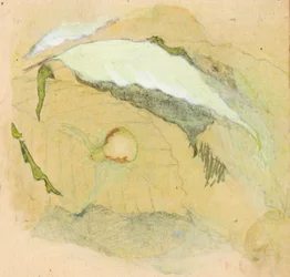 Porcelain-White Spider