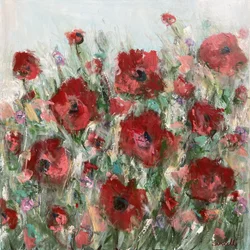 Red Poppy Field