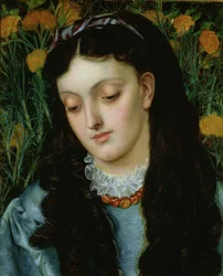The Beautiful Wallflower