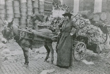 A Woman Flower Seller