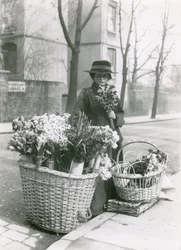 A Woman Flower Seller