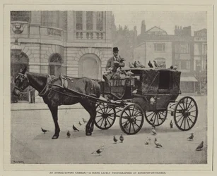 An animal-loving cabman, A scene lately photographed at Kingston-on-Thames