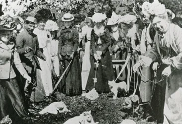 Cat show at the Royal Botanic Gardens, Westminster, in 1900