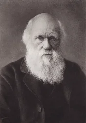 Charles Darwin, portrait, c 1880