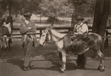 Donkey Rides on Clapham Common