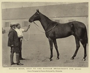 Galtee More, Sold to the Russian Government for £21,000