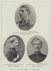 Killed and wounded at Omdurman