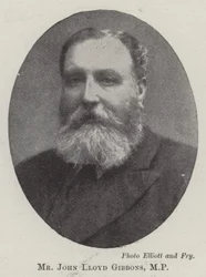Mr John Lloyd Gibbons, MP