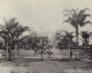 Palms and Fountain, Botanical Gardens, Brisbane
