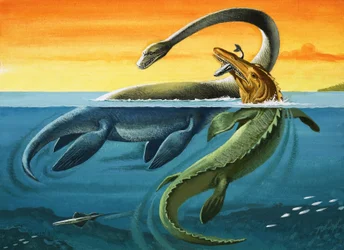 Prehistoric Creatures in the Ocean