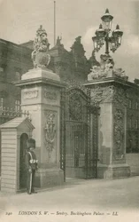Sentry, Buckingham Palace