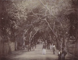 Skinners Road, Colombo