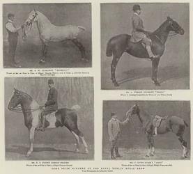 Some Prize Winners at the Royal Dublin Horse Show