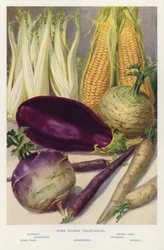Some rarer vegetables