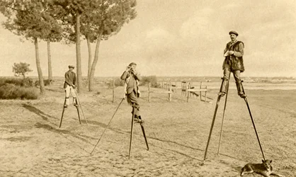 Stilts