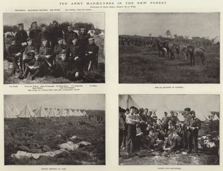 The Army Manoeuvres in the New Forest