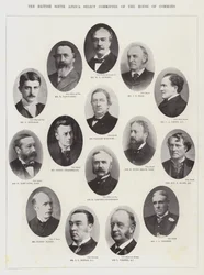 The British South Africa Select Committee of the House of Commons