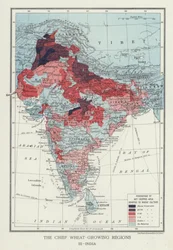 The Chief Wheat-Growing Regions, India
