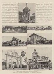 The Prevention of Cruelty to Animals in India