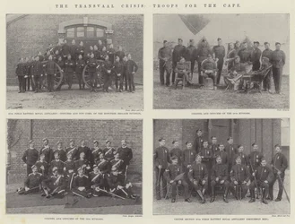 The Transvaal Crisis, Troops for the Cape