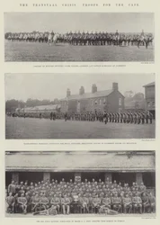 The Transvaal Crisis, Troops for the Cape