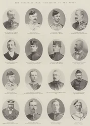 The Transvaal War, Casualties at the Front