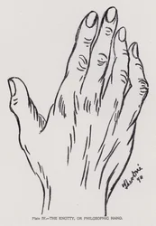 The knotty, or philosophic hand