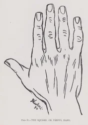 The square, or useful hand