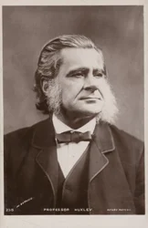 Thomas Henry Huxley (1825-1895), English biologist
