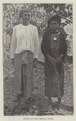 Types of the Musur Tribe