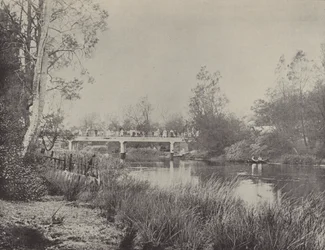 Undercliffe Bridge, Cooks River