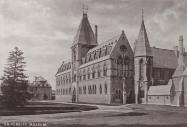 University Museum