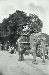 Zoological Gardens, Children Riding on the Elephants