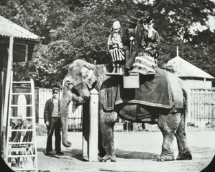Zoological Gardens, Regents Park: Elephant with Adults and Children Having a Ride, London Zoo, 1894