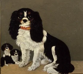 A Cavalier King Charles Spaniel with Puppies