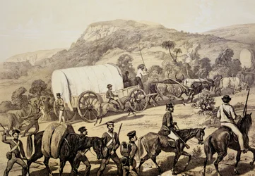 A Convoy of Wagons, from Scenes in Kafirland and Incidents in the Kafir War of 1851-53