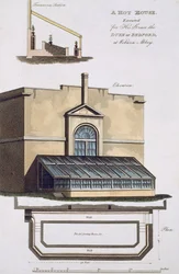 A Hot House for the Duke of Bedford at Woburn Abbey, 1806