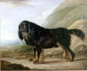 A King Charles Spaniel in a Landscape