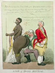 A Pair of Broad Bottoms