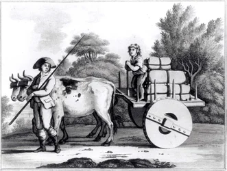 A Portuguese Farm, from A General View of the State of Portugal by James Murphy, published 1797