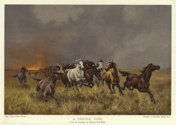 A Prairie Fire