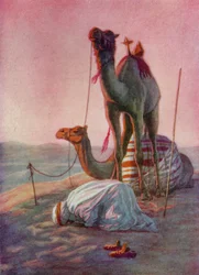 A Prayer in the Desert