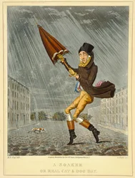 A Soaker or Real Cat and Dog Day, engraved by G. Hunt, published by Thomas McLean, London, 1827