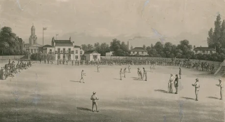 A Cricket Match